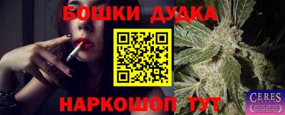 гидра Обь
