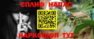 гидра Обь