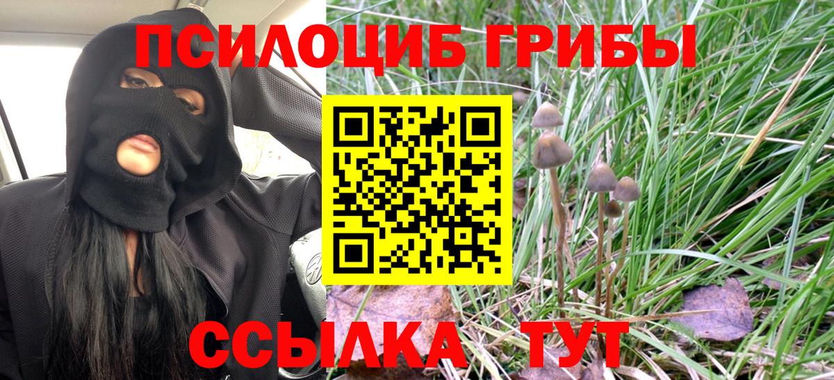 Галлюциногенные грибы прущие грибы Тара