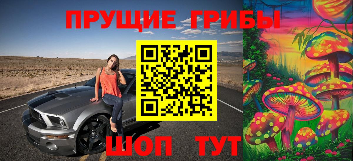 Тара  Псилоцибиновые грибы Psilocybe  купить наркоту  Вход с VPN 